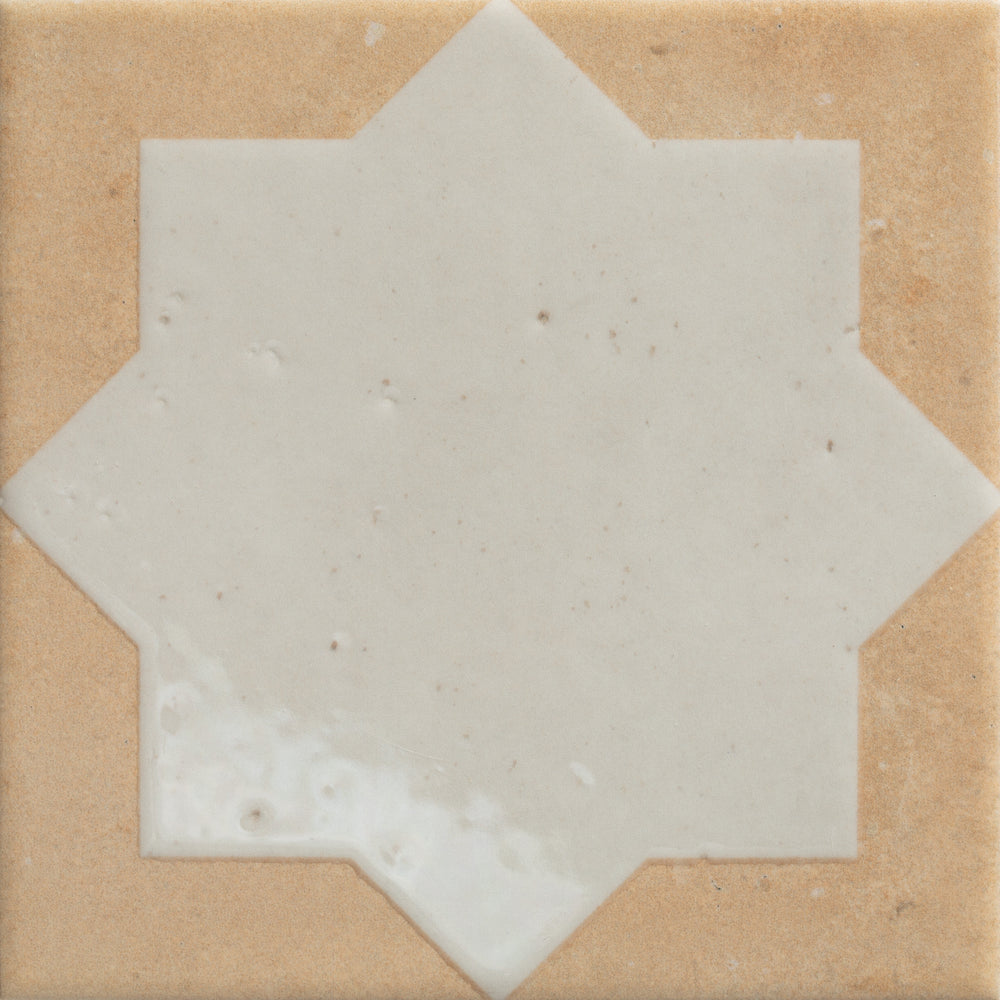 Ca'Pietra Menara White Star/Cotto Star Porcelain